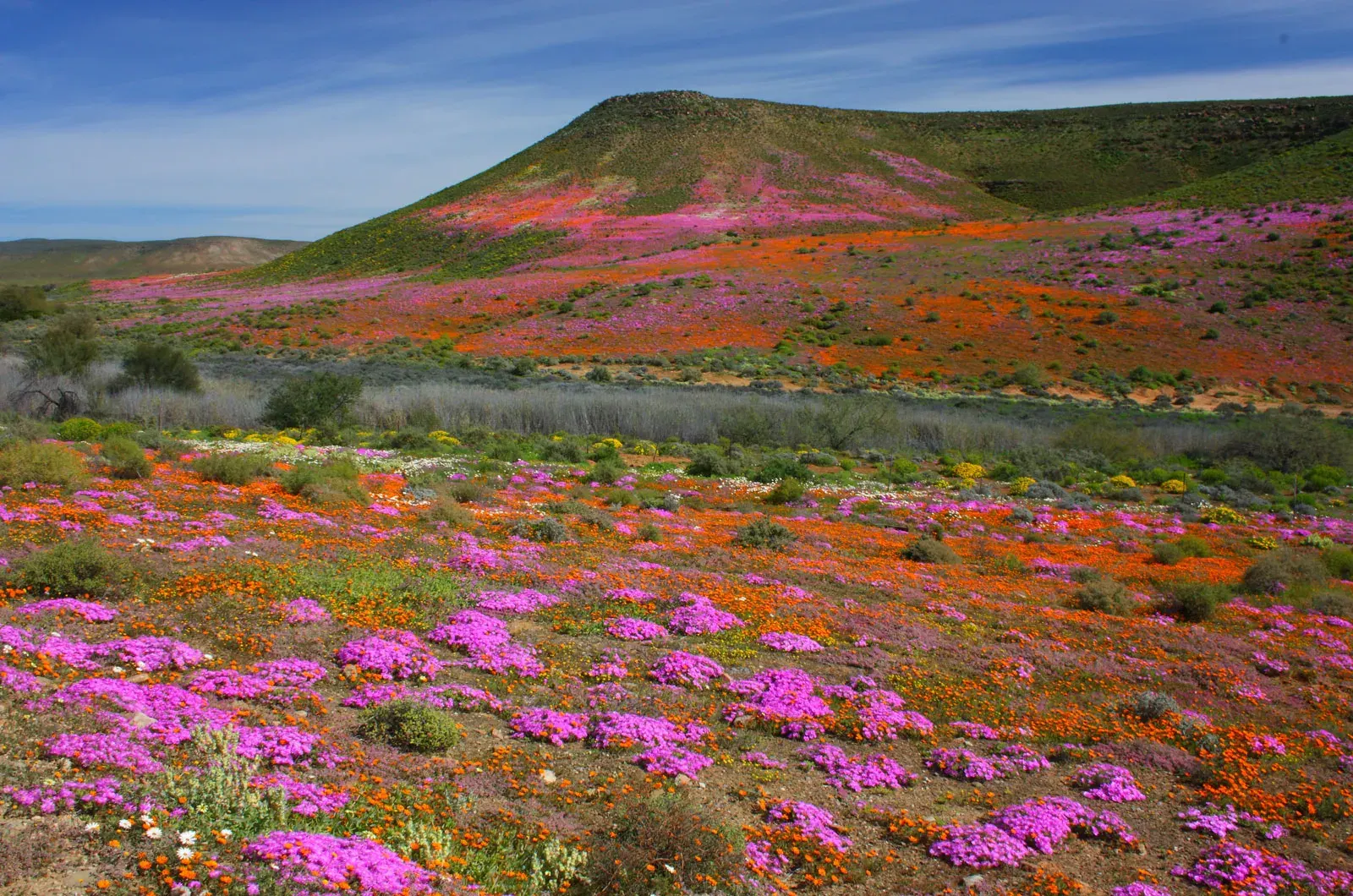 Northern Cape Landscape